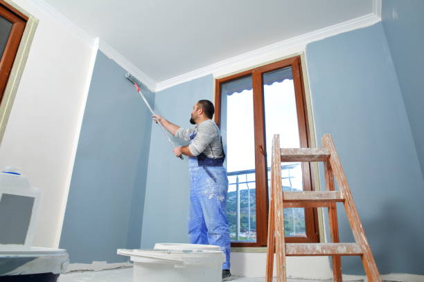 Best Repainting for Renovations  in St James City, FL