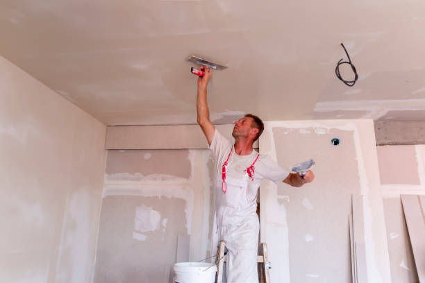 Best Drywall Installation  in St James City, FL